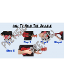 Hold That Ukulele - A Step by Step Guide
